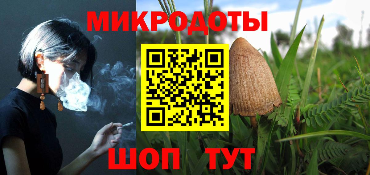 Советск  Галлюциногенные грибы MAGIC MUSHROOMS  Вход с VPN 